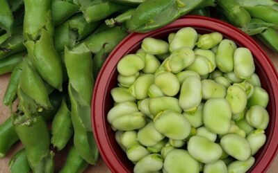 Bób – w jaki sposób przyrządzić?